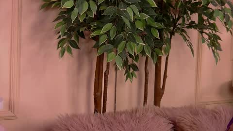 Snapshot of crystallred chatting on February 18, 2026, 6:20 am crystallred online show from February 18, 2026, 6:20 am