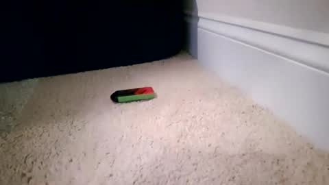 ctcboyy online show from November 4, 2025, 3:27 am