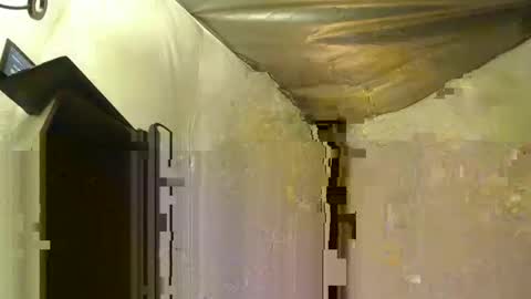 cum4panties1 online show from April 16, 2026, 1:23 pm