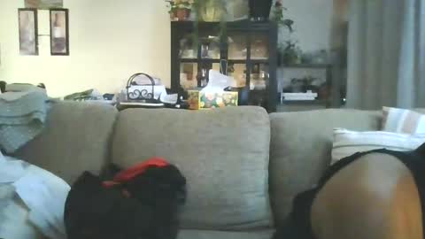 cumdumpslutfag online show from June 11, 2026, 9:51 am