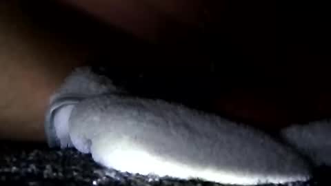 Snapshot of cumsinmealot chatting on January 14, 2025, 11:10 am Aprilia online show from January 14, 2025, 11:10 am