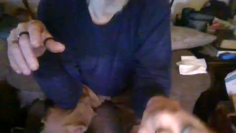 cunnibob online show from March 2, 2025, 1:58 am