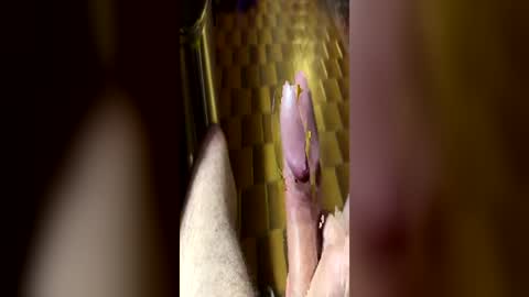curicat69 online show from June 21, 2026, 8:28 am