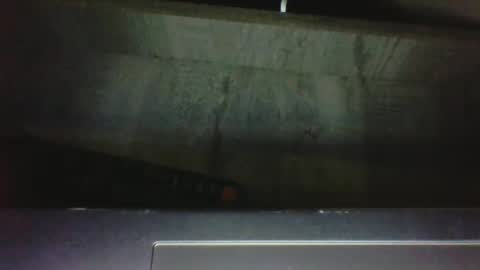 Snapshot of curiouscouple303 chatting on September 26, 2025, 1:31 am CuriousCouple303 online show from September 26, 2025, 1:31 am