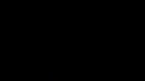 curiousnomad_dmv online show from March 24, 2026, 6:18 am