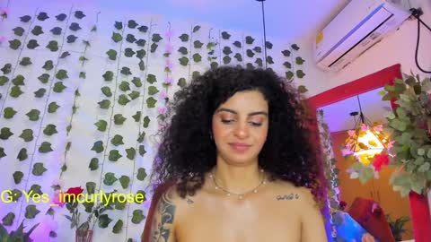 Snapshot of curlyrose_ chatting on January 19, 2025, 3:08 am Rose online show from January 19, 2025, 3:08 am