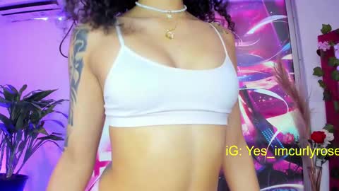 Snapshot of curlyrose_ chatting on February 17, 2025, 9:08 pm Rose online show from February 17, 2025, 9:08 pm