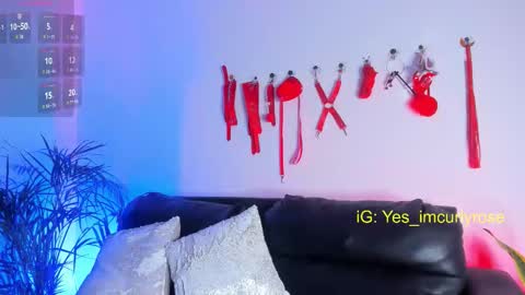 Snapshot of curlyrose_ chatting on November 24, 2025, 11:26 pm Rose online show from November 24, 2025, 11:26 pm