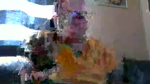 curtus14 online show from October 26, 2025, 6:41 am