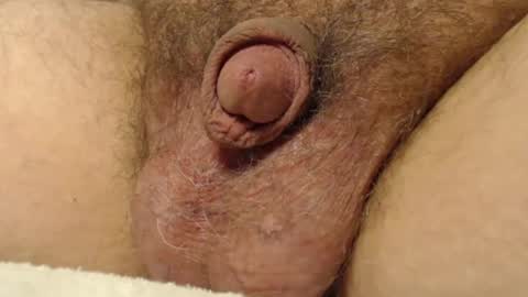 curve66 online show from November 17, 2025, 11:10 pm