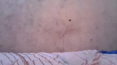 cute_divah4 online show from June 12, 2026, 4:22 am