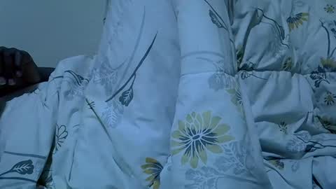 lynn online show from November 5, 2025, 7:41 am