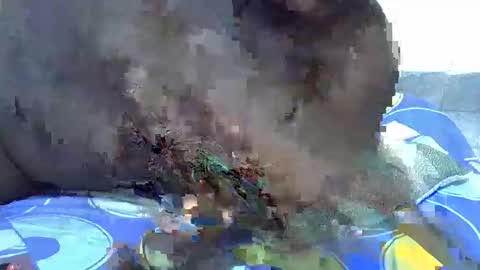 lynn online show from December 21, 2025, 4:47 pm