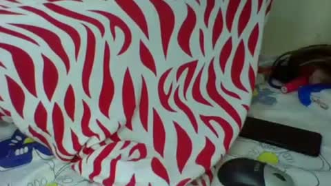 Snapshot of cute_sassy3 chatting on October 20, 2025, 4:57 am love online show from October 20, 2025, 4:57 am