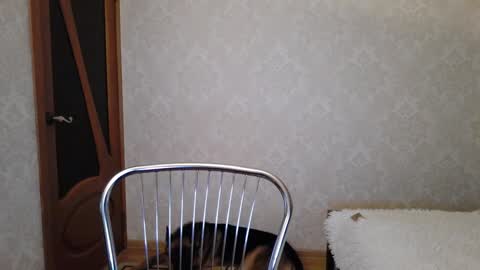 cute_strawberry_ online show from December 9, 2024, 4:45 am