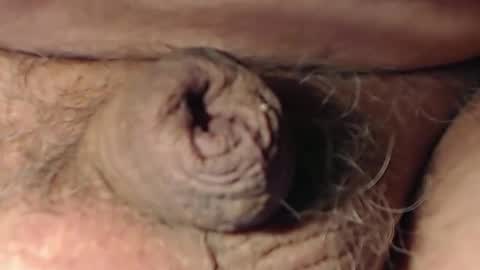 cute_stud1010 online show from February 22, 2026, 3:10 pm