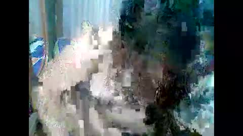 Snapshot of cutechubbyasian chatting on April 26, 2026, 11:30 am cutechubbyasian online show from April 26, 2026, 11:30 am