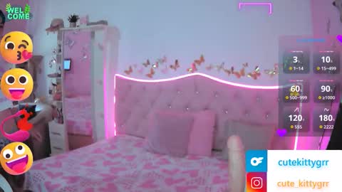 Kitty online show from November 27, 2025, 3:03 pm