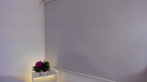 Snapshot of cylie_lee chatting on December 28, 2024, 9:08 pm Cylie online show from December 28, 2024, 9:08 pm