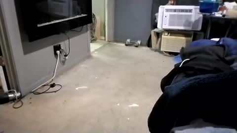 da941987 online show from December 2, 2024, 5:48 am