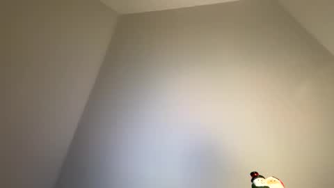 Snapshot of dachdecker7269 chatting on February 9, 2026, 5:11 am dachdecker7269 online show from February 9, 2026, 5:11 am