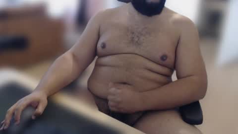 Daddy Bear  Papa Ours online show from April 28, 2026, 10:09 am