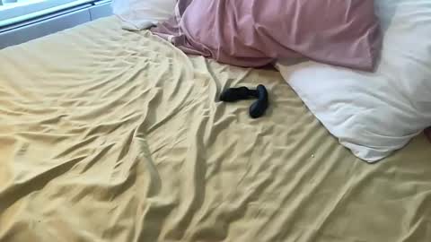 dadstrokin online show from March 8, 2026, 5:28 pm