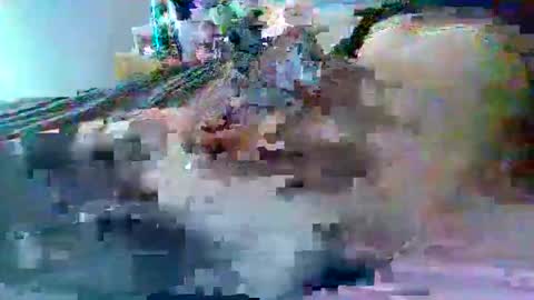 dafo1980 online show from February 22, 2026, 2:59 pm