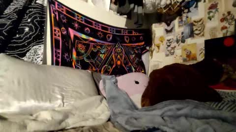 DaintyDarling online show from February 21, 2025, 6:48 pm