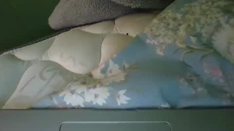Snapshot of daisnconfusion_ chatting on March 6, 2025, 7:10 pm daisnconfusion_ online show from March 6, 2025, 7:10 pm