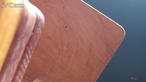 Daisy Banx online show from December 27, 2024, 12:45 pm