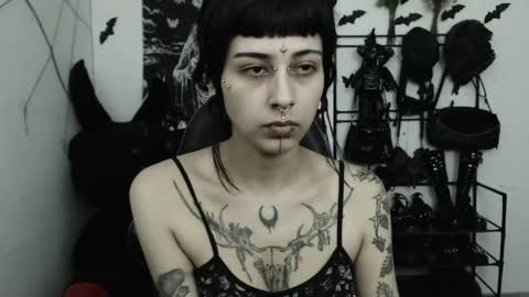 dakota online show from May 4, 2026, 3:02 am