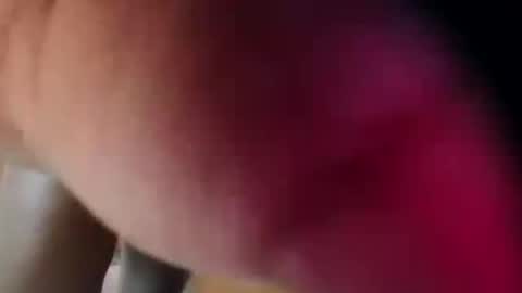 dakotaholand online show from December 5, 2025, 6:33 am