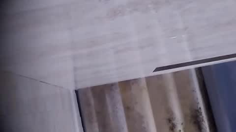 Dalila online show from September 18, 2025, 10:28 am