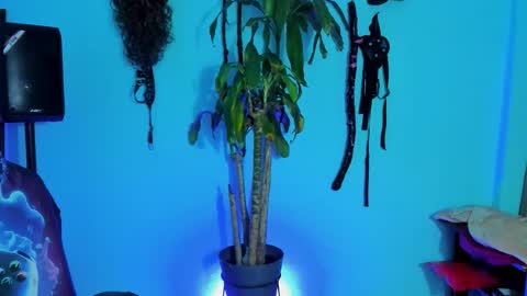 Damian torner online show from October 28, 2025, 7:56 am