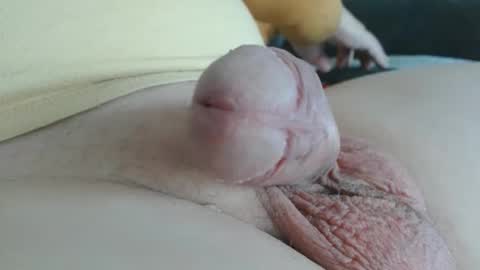 Snapshot of damocles01 chatting on October 20, 2025, 12:49 pm Damocles online show from October 20, 2025, 12:49 pm