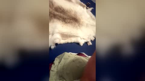 Snapshot of damontsi chatting on March 22, 2026, 9:34 am damontsi online show from March 22, 2026, 9:34 am