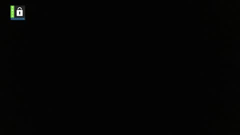 Dan online show from February 11, 2025, 2:46 am