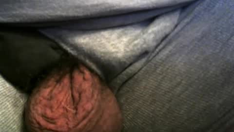 daniboy029 online show from February 18, 2025, 8:38 am