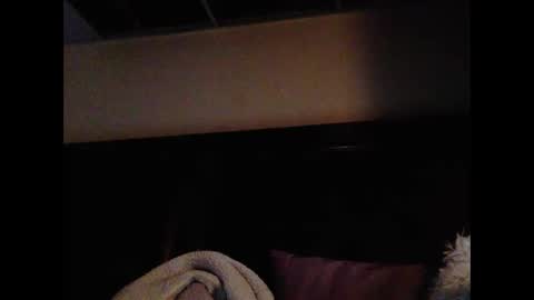 Snapshot of daniellbisous chatting on February 16, 2026, 9:05 am daniellbisous online show from February 16, 2026, 9:05 am