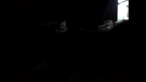 Snapshot of daniellbisous chatting on March 10, 2026, 9:03 am daniellbisous online show from March 10, 2026, 9:03 am