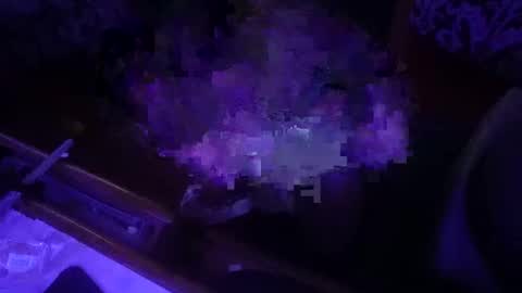 dankfuckcouple online show from September 28, 2025, 12:32 pm