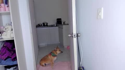 Danna Rhodes online show from November 30, 2025, 6:17 am