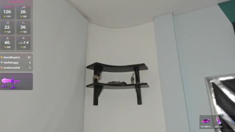 Danna online show from December 19, 2024, 6:56 am