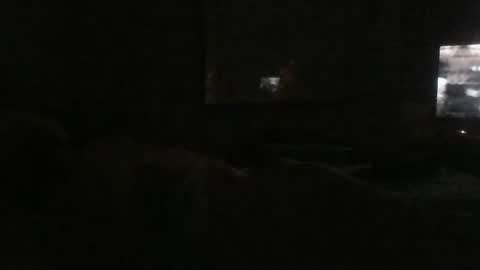 Danielle online show from December 24, 2024, 5:49 am