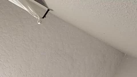 Snapshot of dano9696 chatting on February 23, 2026, 7:28 am dano9696 online show from February 23, 2026, 7:28 am