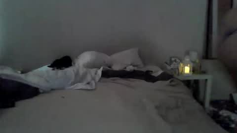 danybowl4men online show from May 24, 2026, 4:56 pm