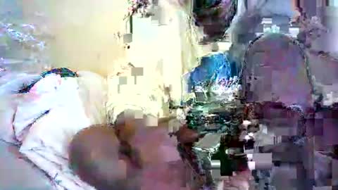 daphne online show from May 4, 2026, 10:44 am