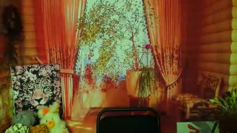 Darina online show from February 18, 2026, 6:31 am