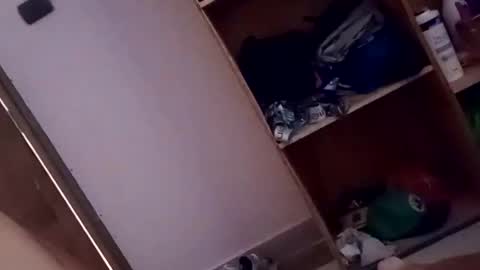 dario1127 online show from October 13, 2025, 1:33 pm